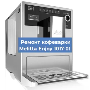 Ремонт капучинатора на кофемашине Melitta Enjoy 1017-01 в Красноярске